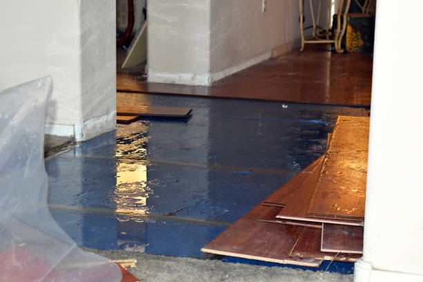 Professional Burst Pipe Cleanup technician working in Burtonsville, MD